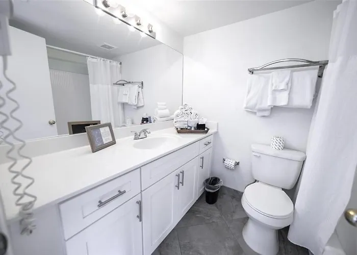 206 Fully Furnished 1br Suite-prime Location Apartment *